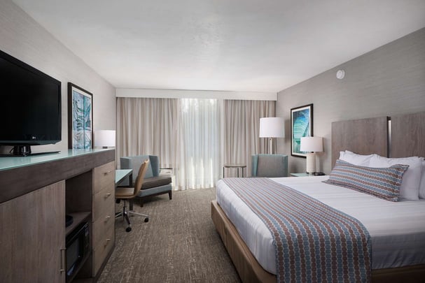 1 King Bed Hillside View