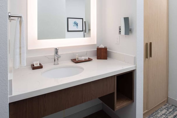 Roll-in King Bathroom