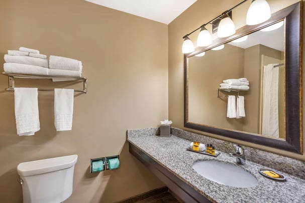 Guest Bath Deluxe Room