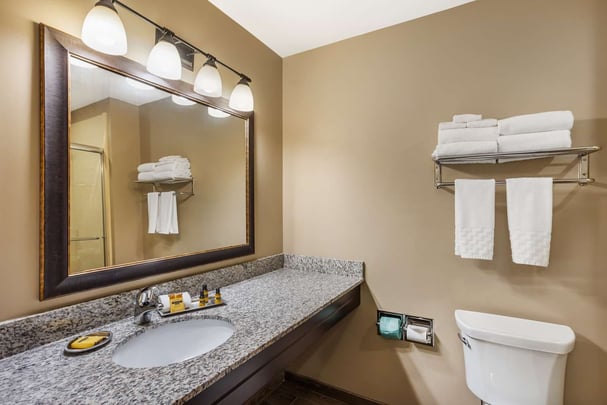 Guest Bath Deluxe Room