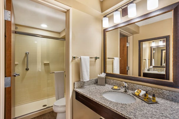 Guest Bath King with Shower