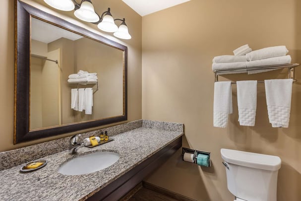 Guest Bath Deluxe Room