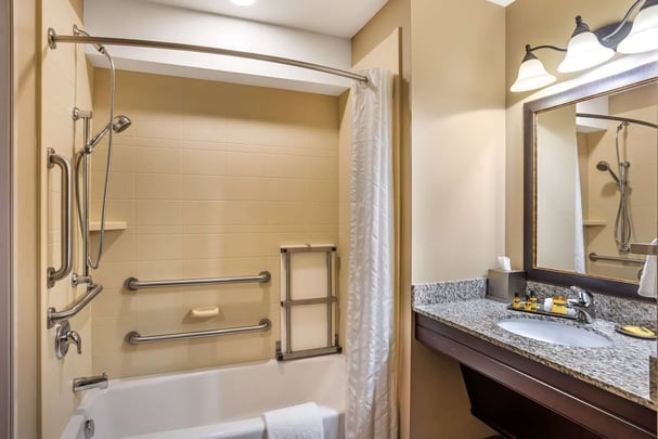 Guest Bath ADA Deluxe