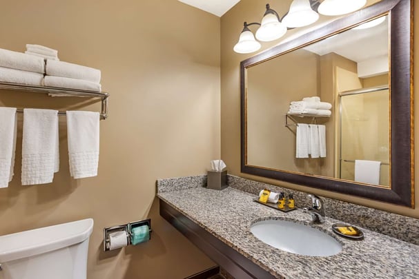 Guest Bath Suite or Deluxe