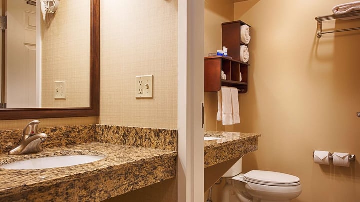 Deluxe Guest Bathroom