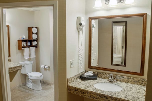 Deluxe room bathroom with second van