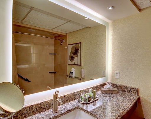 Queen Bed Guest Bathroom