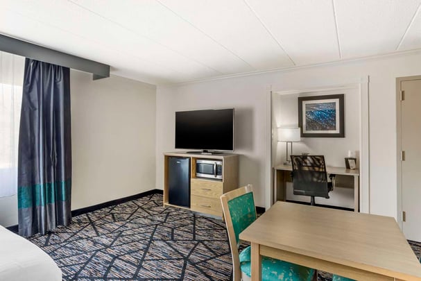 SUITE-1 KING BED WITH JACUZZI BATH TUB