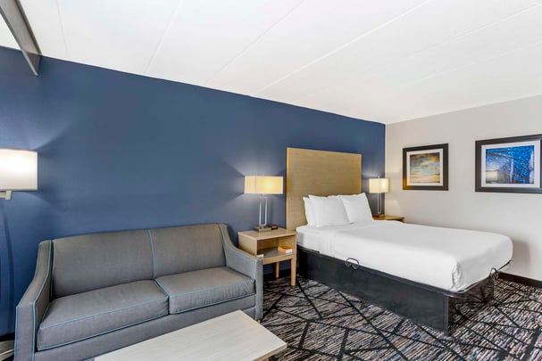 1 QUEEN BED,NSM,HI SPD NET,2ND BED SOFA,MIC