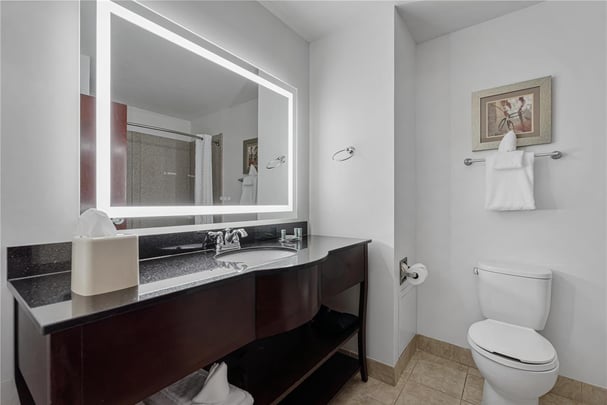 King Room Pet Friendly