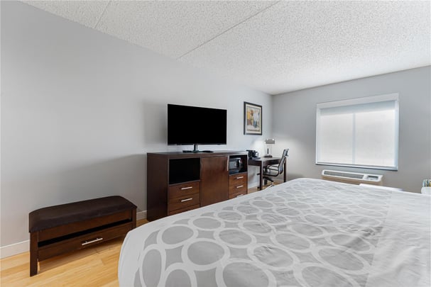 King Room Pet Friendly