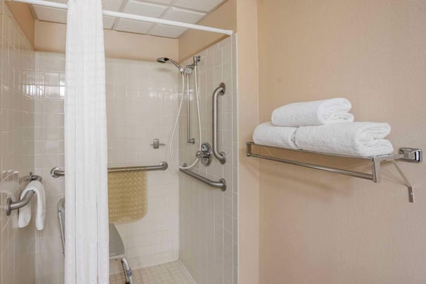 Accessible Roll-in Shower