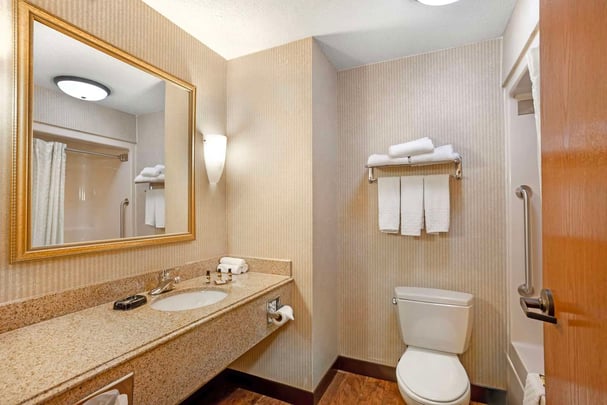 Accessible Guest Bathroom