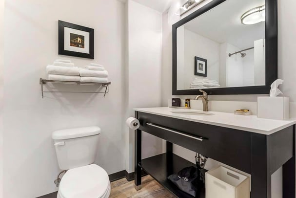 Guest Bathroom