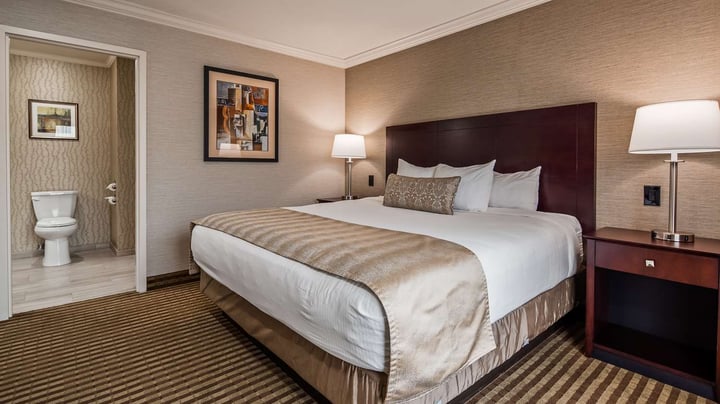 Executive Suite - King Bed