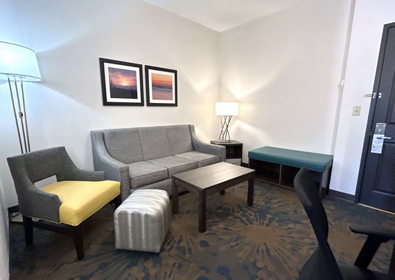 Suite Living Room Area