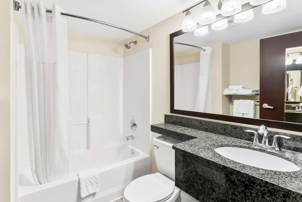 Queen with Sofabed Bathroom