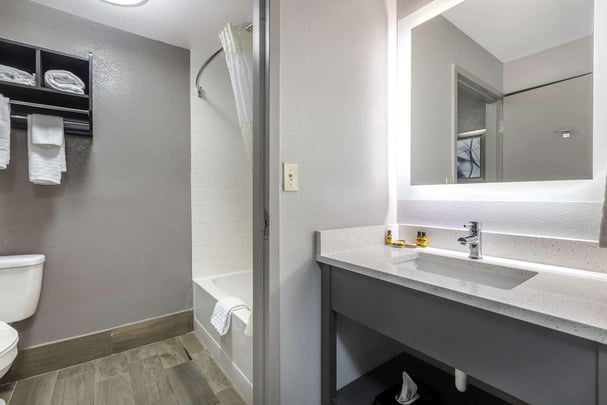 Two Queen Guest Bathroom