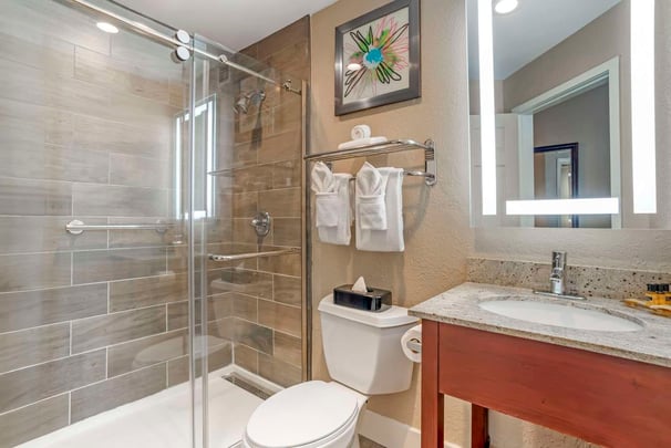 Suite w/ Sofa Bed Bathroom