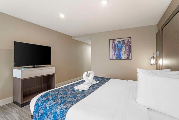 Suite King Sep. Bed. Wetbar