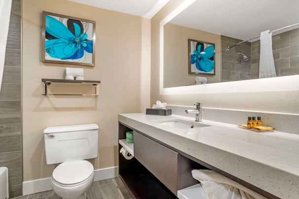 Suite King Sep. Bed. Wetbar Bathroom