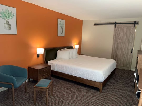 Mobility Accessible King Guest Room