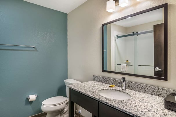 Standard Room - Guest Bath