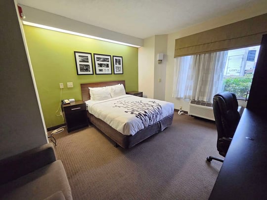 Mobility Accessible Queen Guestroom