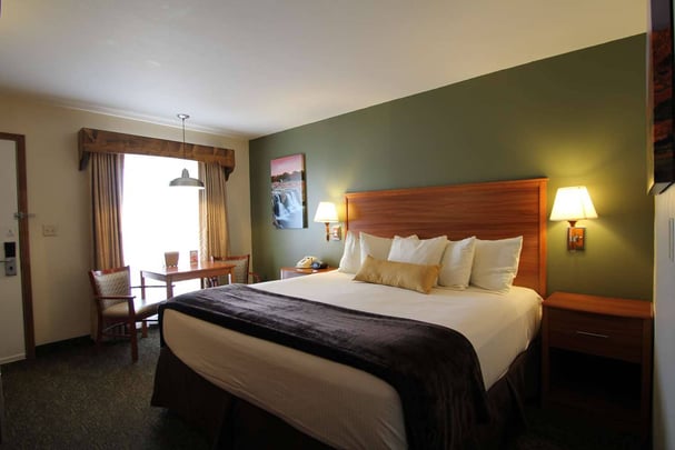 One Queen Guest Room