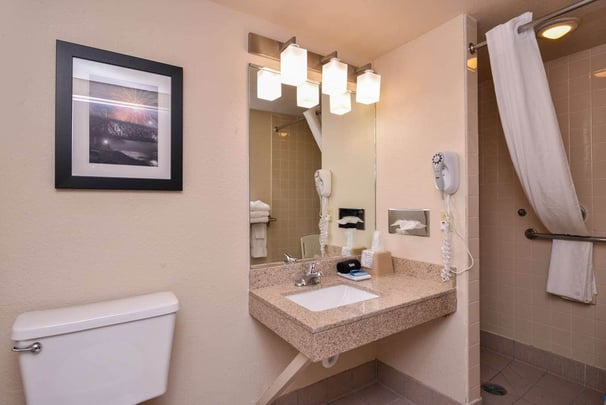 King Mobility Accessible Bathroom