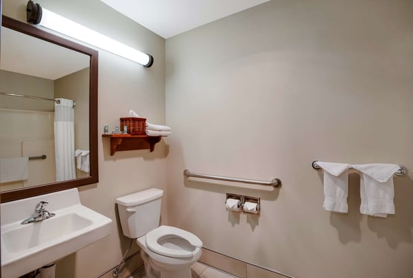 Queen Accessible Bathroom