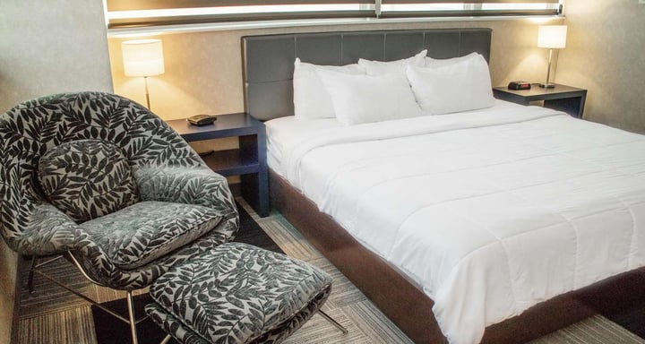 Deluxe King Pet Friendly