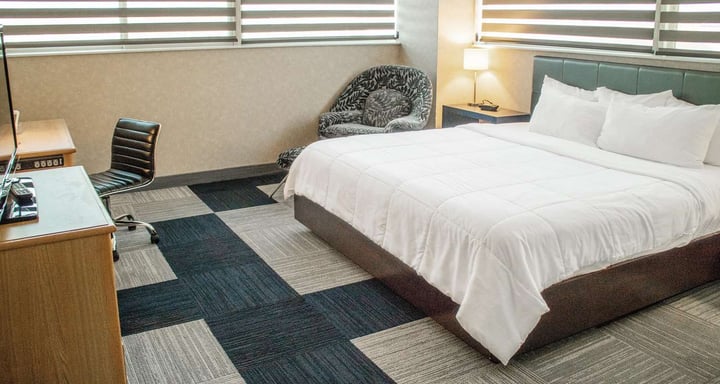 Deluxe King Pet Friendly