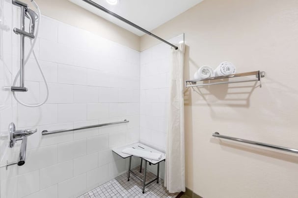 ADA Walk-In Shower