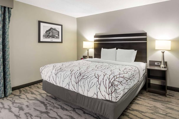 King Suite w/ Living Room