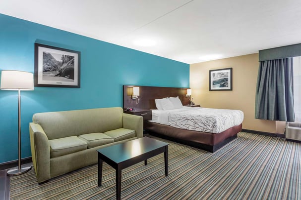 King Suite w/ Kitchenette