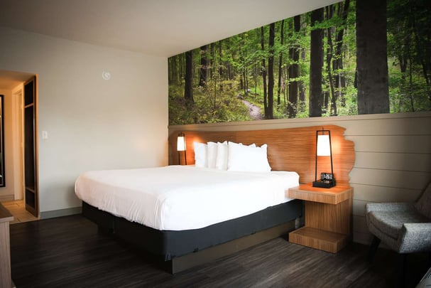 King Room - Hiking in the Park