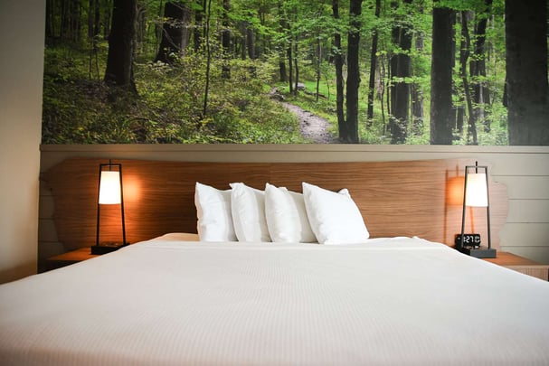 King Room - Hiking in the Park