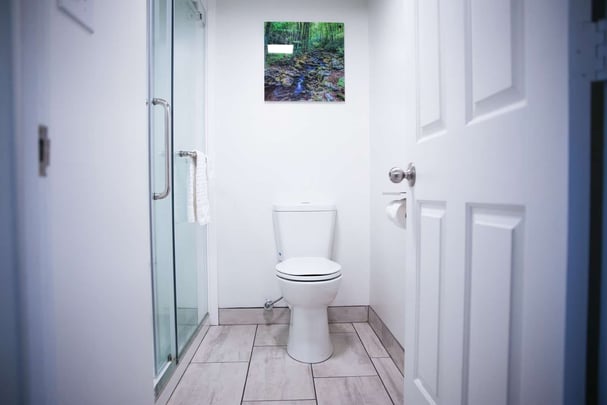 King Room Bath - Hiking in the Park