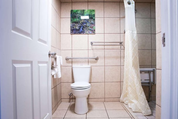 ADA King Room Bath - Hiking in the Park