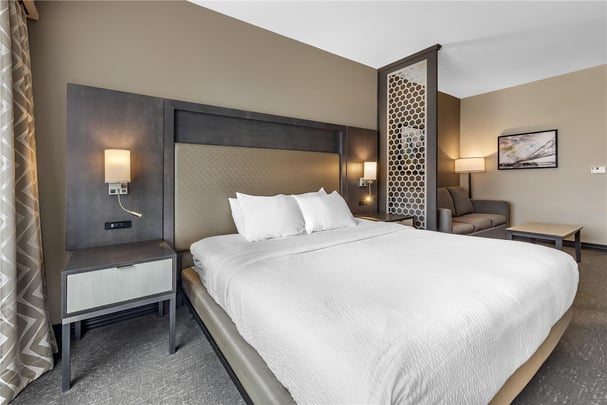 ADA King Suite Sofabed