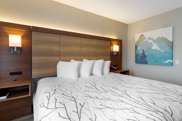 King Accessible Room