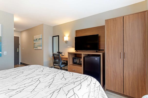 King Accessible Room