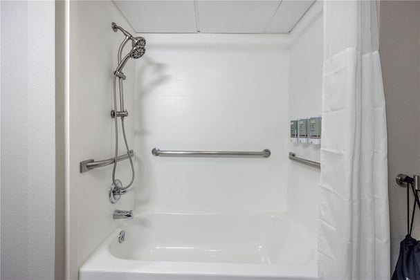 Accessible King Guest Room