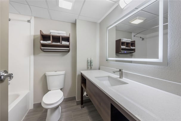 King Suite with Sofabed