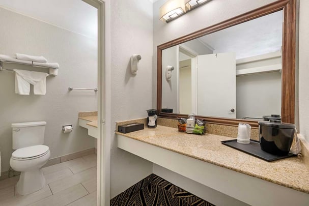 ADA King - Guest Bath