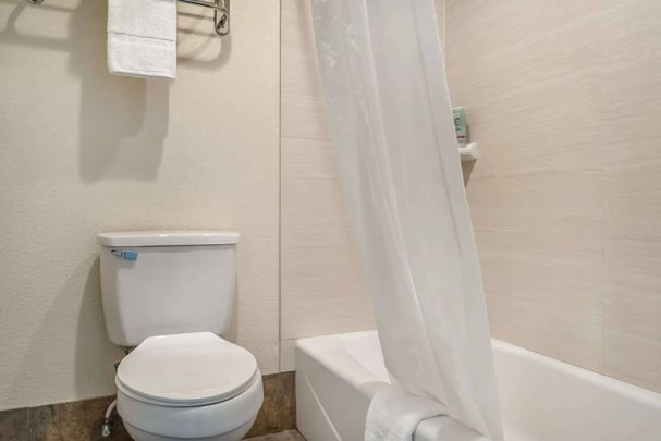 Double Queen - Guest Bath