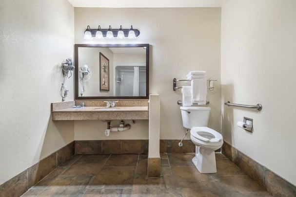 ADA King - Guest Bath