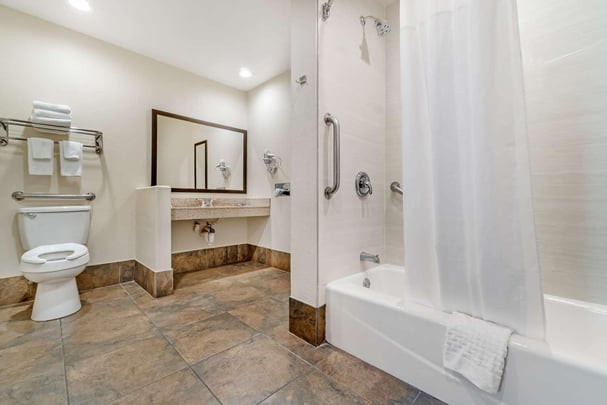 ADA Guest Bath - Bathtub