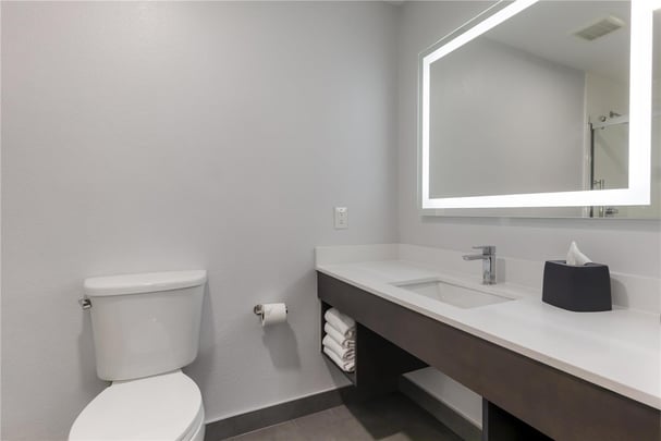 Two Bedroom Suite - Guest Bath